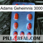 Adams Secret 3000 06